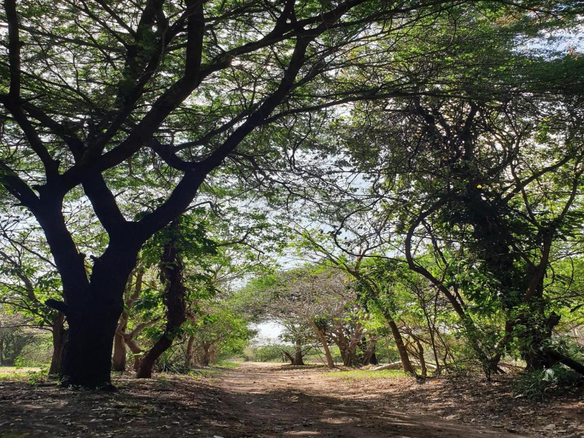 Pumusa Bushcamp Hluhluwe Exteriör bild