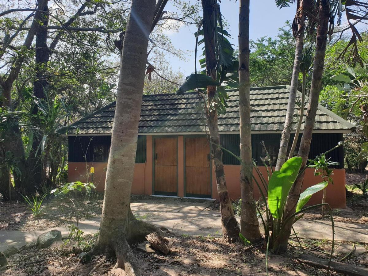 Pumusa Bushcamp Hluhluwe Exteriör bild