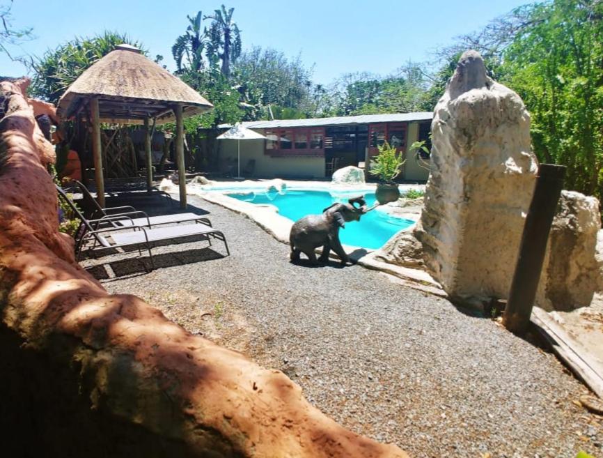 Pumusa Bushcamp Hluhluwe Exteriör bild