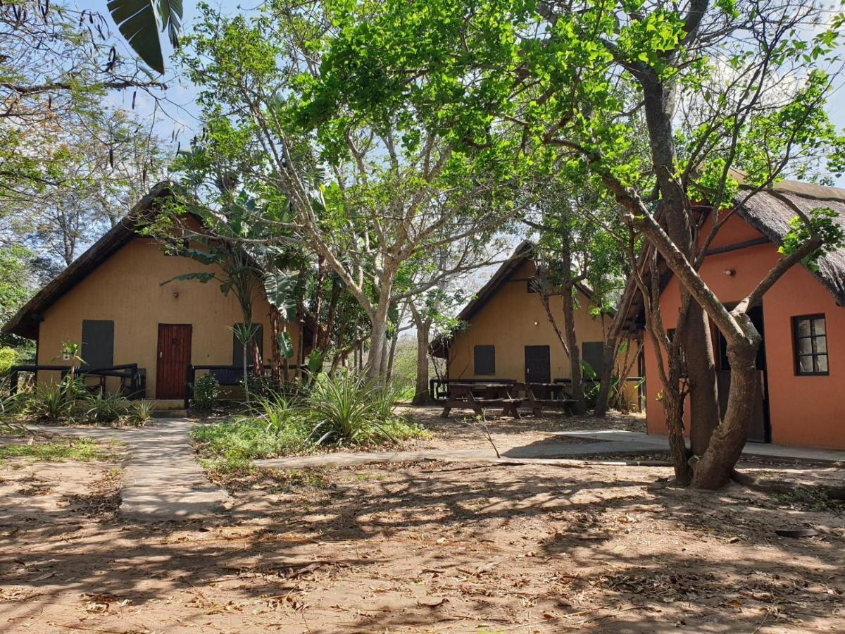 Pumusa Bushcamp Hluhluwe Exteriör bild